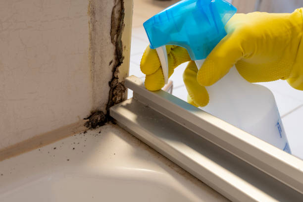 Oakland, NE Mold Remediation Company